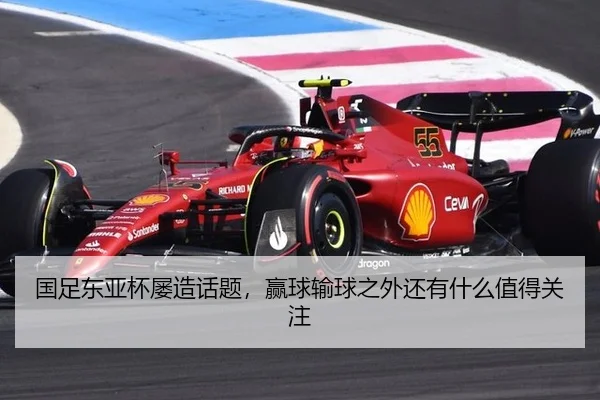 guo-zu-dong-ya-bei-lv-zao-hua-ti-ying-qiu-shu-qiu-zhi-wai-hai-you-shen-me-zhi-de-guan-zhu-2-170.jpg